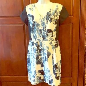 Banana Republic dress